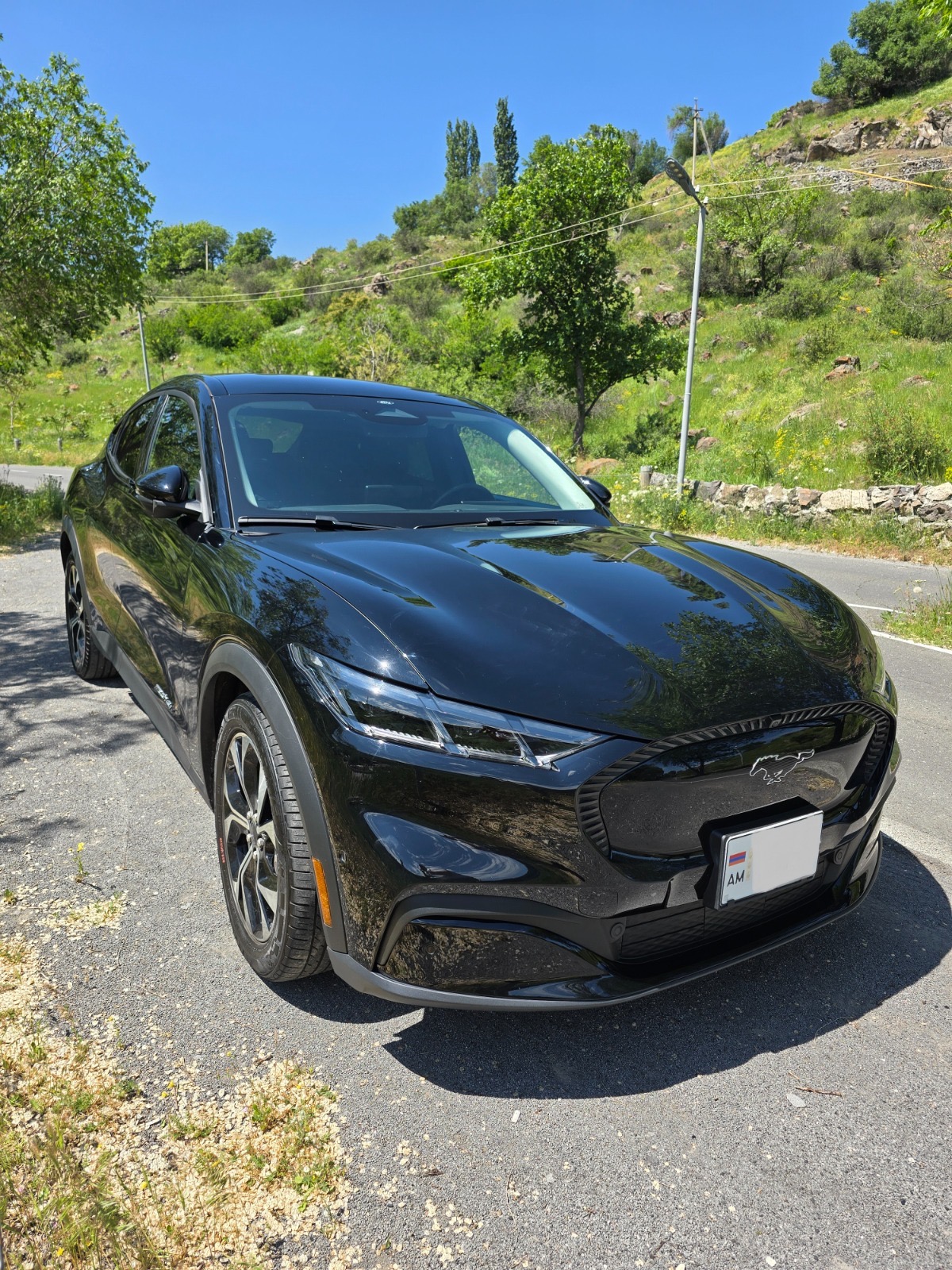 Ford Mustang Mach-E 2022 with driver in Armenia